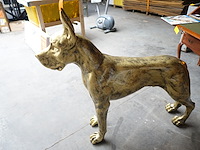 Beeld duitse dog