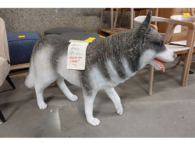 Beeld husky - afbeelding 1 van  6