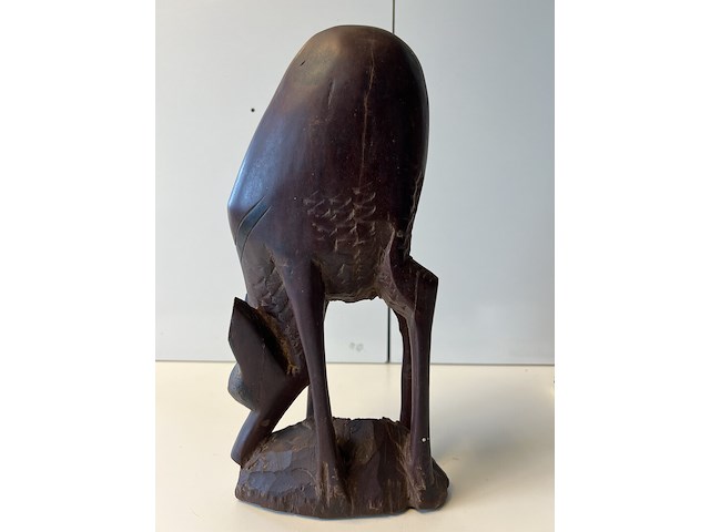 Beeld van dier - afbeelding 1 van  3