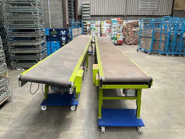 Beerepoot be 8m transportband (2x) - afbeelding 2 van  8