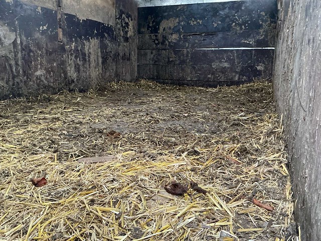 Beestewagen - afbeelding 10 van  12