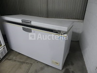 Beko hsa47520 kistvriezer