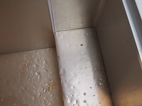 Beko - afbeelding 5 van  7