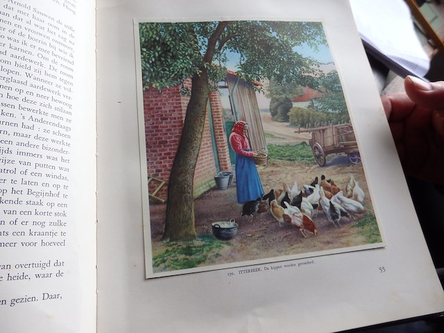 Belg folklore 2x - afbeelding 3 van  3