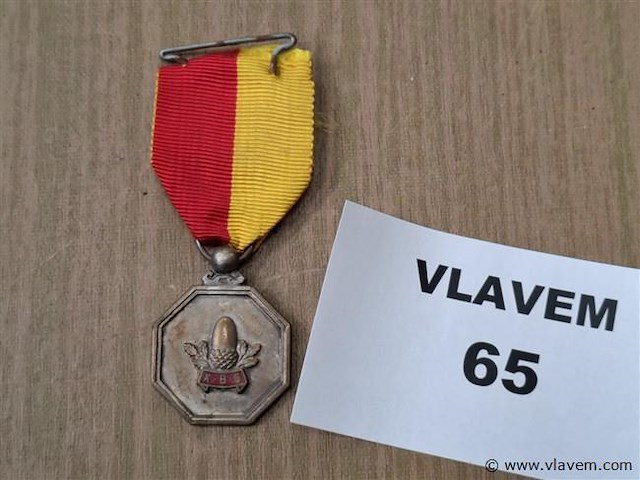 Belgische medaille - afbeelding 1 van  2