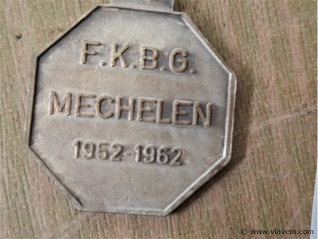 Belgische medaille - afbeelding 2 van  2