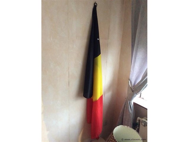 Belgische vlag - afbeelding 1 van  1