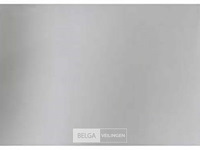 Belling saw1100-rvs - afbeelding 1 van  2