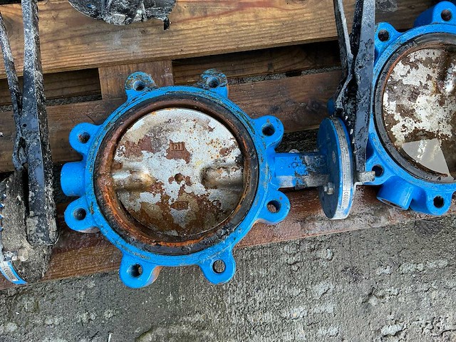 Belven vlinderklep (6x) - afbeelding 4 van  8