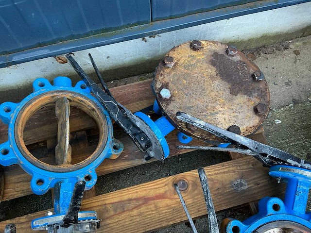 Belven vlinderklep (6x) - afbeelding 6 van  8