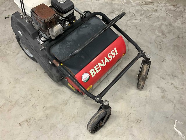 Benassi klepelmaaier - afbeelding 17 van  18