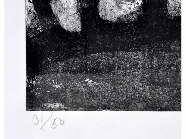 Bengt lindström - vissage - ets/ aquatint - inglijst - afbeelding 2 van  8
