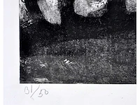 Bengt lindström - vissage - ets/ aquatint - inglijst - afbeelding 2 van  8
