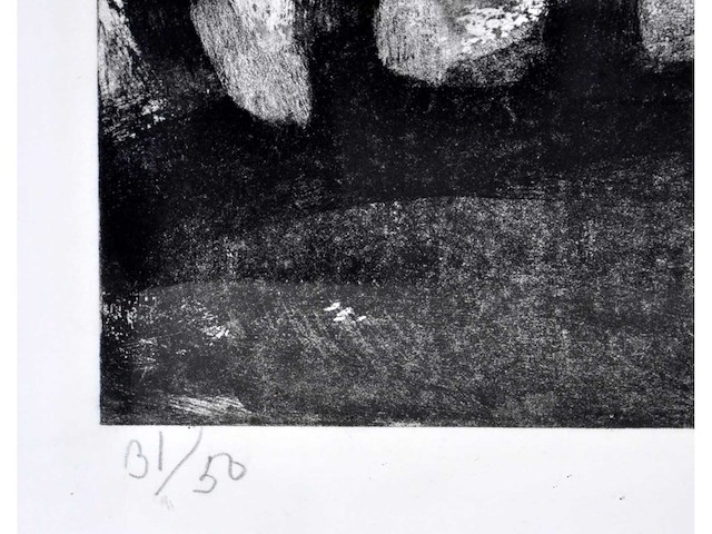 Bengt lindström - vissage - ets/ aquatint - afbeelding 3 van  8