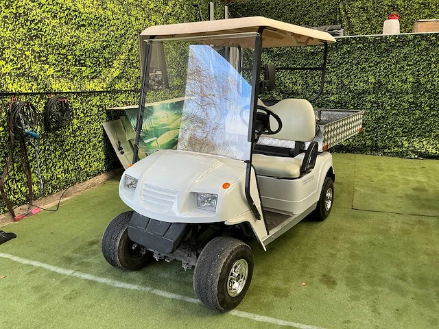 Bensel bs2 c golfkar - afbeelding 1 van  9