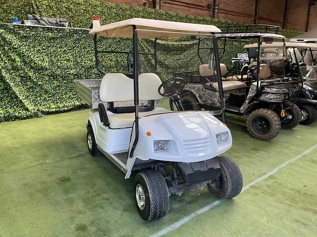 Bensel bs2 c golfkar - afbeelding 2 van  9