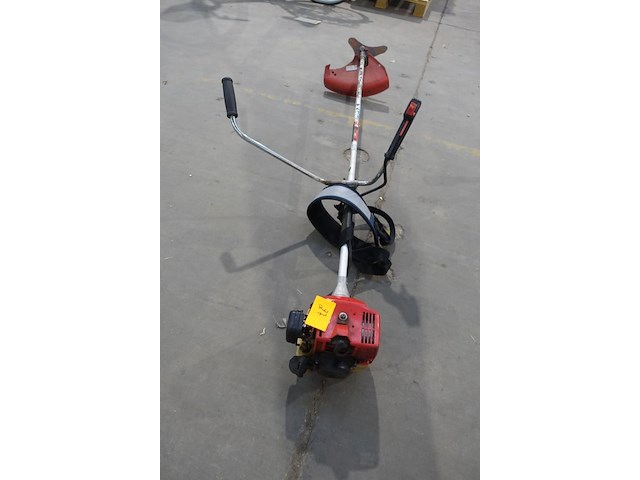 Benzine bosmaaier maruyana - afbeelding 2 van  2