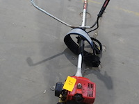 Benzine bosmaaier maruyana - afbeelding 2 van  2