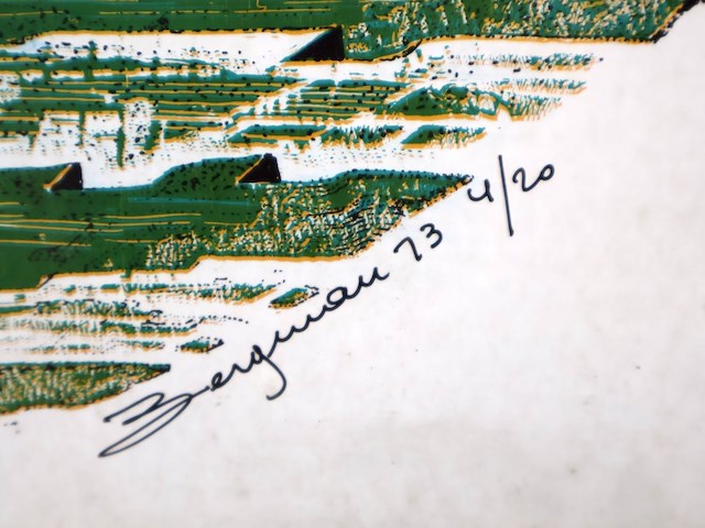 Bergman (x2) - afbeelding 8 van  12