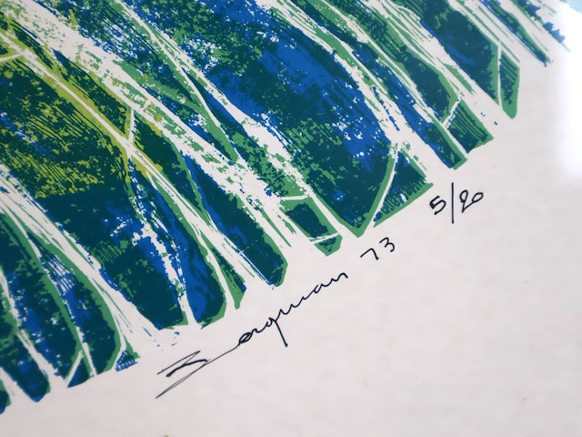 Bergman (x2) - afbeelding 11 van  12