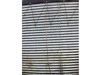 Berken 180-200 (50x) - afbeelding 2 van  2