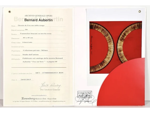 Bernard aubertin : dessin de feu sur aluminium - afbeelding 3 van  19