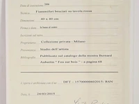 Bernard aubertin : dessin de feu sur aluminium - afbeelding 4 van  19