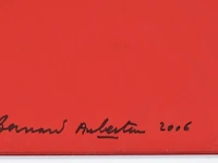 Bernard aubertin : dessin de feu sur aluminium - afbeelding 17 van  19