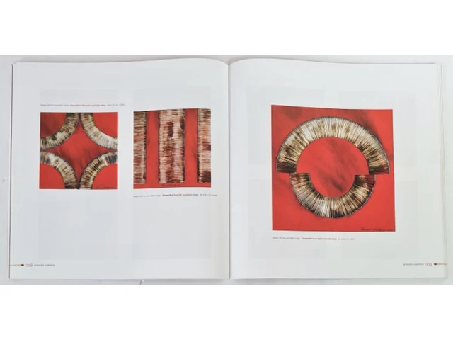 Bernard aubertin : dessin de feu sur aluminium - afbeelding 4 van  14