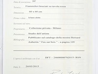 Bernard aubertin : dessin de feu sur aluminium - afbeelding 4 van  14