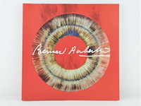 Bernard aubertin : dessin de feu sur aluminium - afbeelding 8 van  14