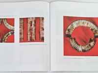 Bernard aubertin : dessin de feu sur aluminium - afbeelding 9 van  14