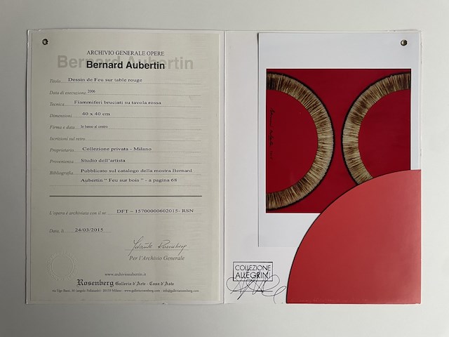 Bernard aubertin : dessin de feu sur aluminium - afbeelding 3 van  4