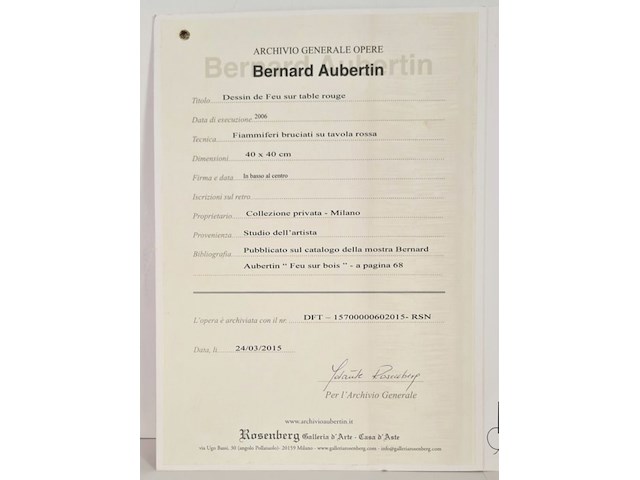 Bernard aubertin : dessin de feu sur aluminium - afbeelding 4 van  19