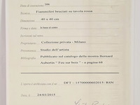 Bernard aubertin : dessin de feu sur aluminium - afbeelding 4 van  19