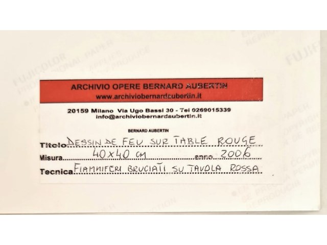 Bernard aubertin : dessin de feu sur aluminium - afbeelding 6 van  19