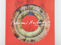 Bernard aubertin : dessin de feu sur aluminium - afbeelding 8 van  19