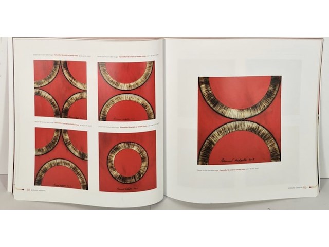 Bernard aubertin : dessin de feu sur aluminium - afbeelding 9 van  19