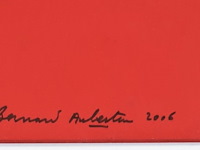 Bernard aubertin : dessin de feu sur aluminium - afbeelding 17 van  19