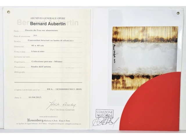Bernard aubertin : dessin sur feu sur alluminium - afbeelding 8 van  14