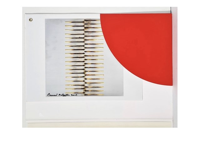 Bernard aubertin : dessin sur feu sur alluminium - afbeelding 8 van  8