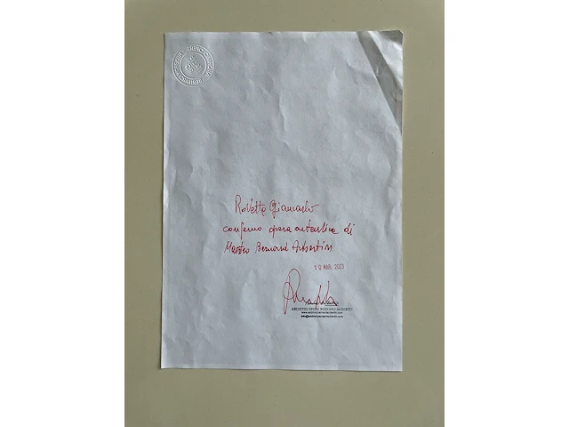 Bernard aubertin : tableau clous - afbeelding 6 van  23