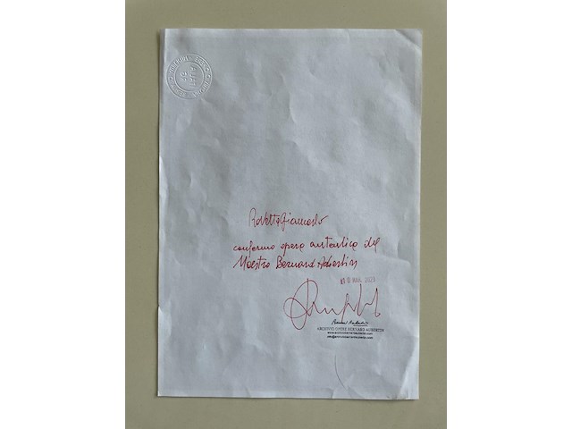 Bernard aubertin : tableau clous - afbeelding 8 van  23