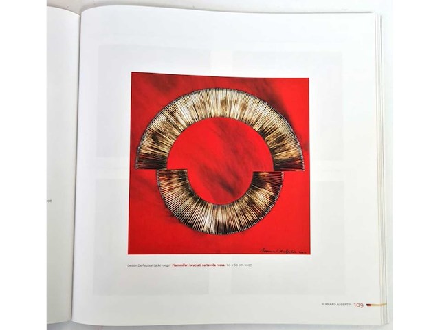 Bernard aubertin - afbeelding 5 van  14