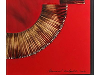 Bernard aubertin - afbeelding 11 van  14