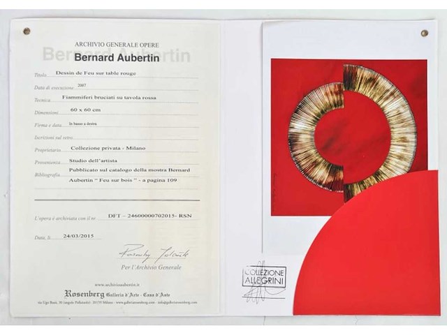 Bernard aubertin - afbeelding 13 van  14