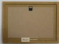 Bernouilli paradox - afbeelding 3 van  3