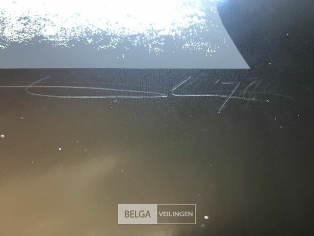Bert de leeuw - gesigneerd - afbeelding 3 van  3