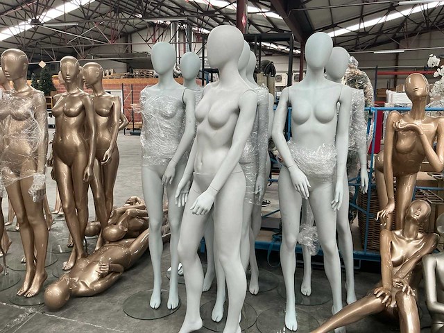 Best mannequins paspop (7x) - afbeelding 1 van  4