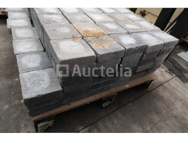 Bestrating en accessoires - afbeelding 9 van  15
